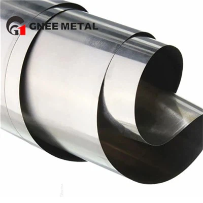 Metalls d'alta puresa Astm B265 Tira de titani